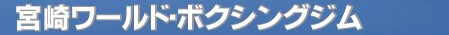 �{�胏�[���h�{�N�V���O�W��